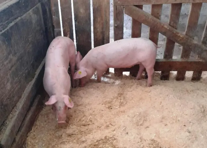 Hubertus - Prechtlhof