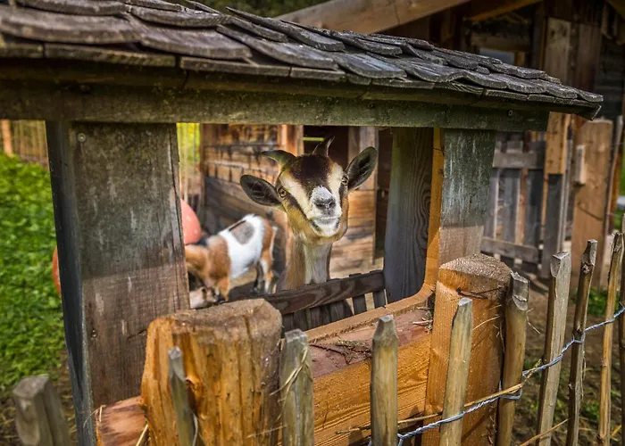 Daire Hubertus - Prechtlhof *