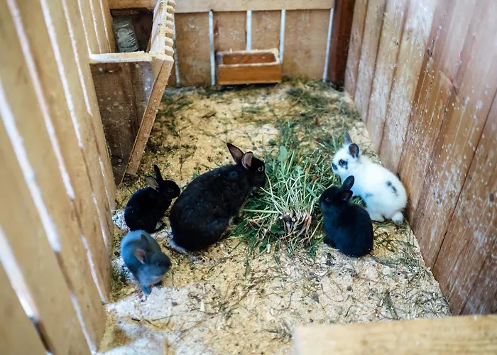 Hubertus - Prechtlhof Flachau